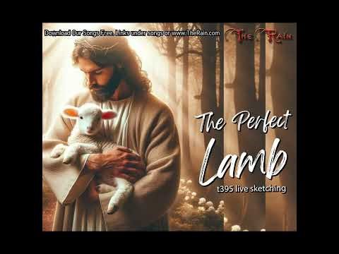 4Q t395 The Perfect Lamb piano live sketching Nicholas Mazzio Lauren Mazzio The Rain