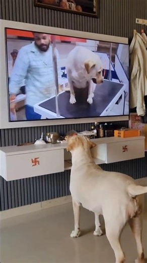 Me itni sundar hu kya karu… Candy version 😂❤️