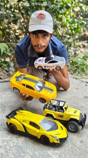 Remote Control Cars Racing