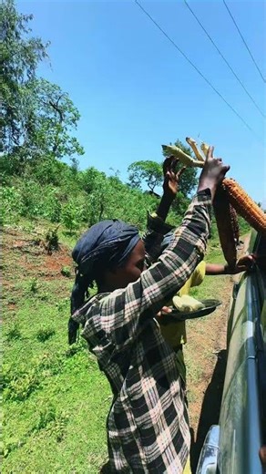 Places to visit in Ethiopia | Travel | Nigusu Tamirat😍 #travel #shorts #youtubeshorts #ethiopia