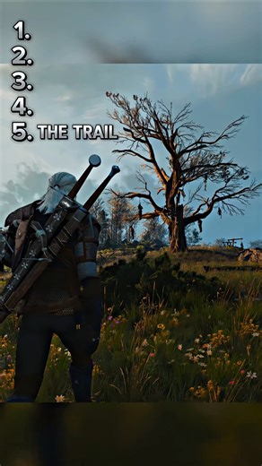 The Witcher 3 Top 5 Best Songs Ranked! #witcher #gaming #thewitcher3 #shorts