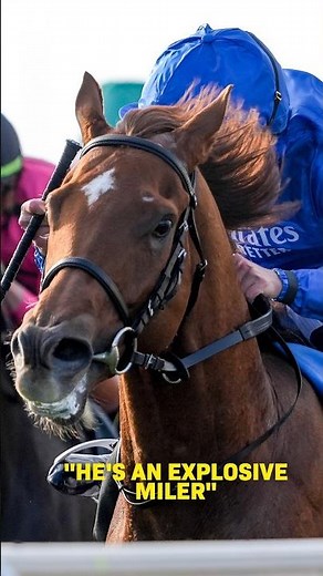 EXPLOSIVE miler 'will win another Breeders' Cup' 🚀
