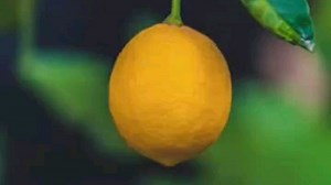 Lesson 19, tired and thirsty