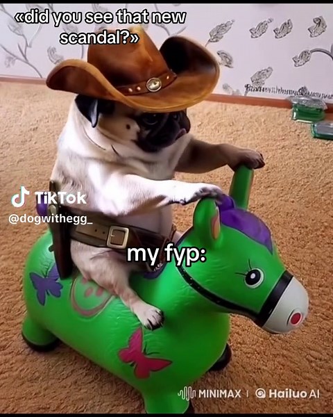 Adorable Cowboy Pug Video