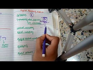 BRIEF SUMMARY OF ALL IMPORTANT SURGICAL PROCEDURES OF EAR easy to understand!