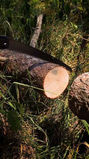 Creative bushcraft IDEA for your body! #outdoors #lifehack #bushcraft #survival I'll show you how to make a sports bushcraft device for your body's health! 👇I'm using bushcraft axe 'Ladushka' from URM Anika | Adrian Payne