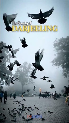 The Beauty of Darjeeling | Darjeeling Travel Video 2026 | Scenic Hills & Tea Gardens