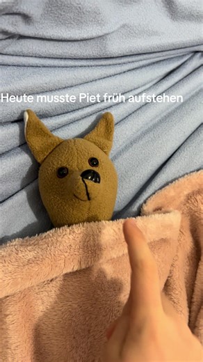 Piet's Morning Routine: Getting Ready for Adventure