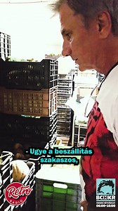 980K views · 21K reactions | A héten a csúcsragadozó GT53 is megmutatta magát a Fővárosi Állatkertben. A Mercedes nagykövet és csapata egy exkluzív sétán vett részt a közel 160 éves intézményben. A profizmus lenyűgöző volt!殺 #bochkor #bchkr #mercedes #mercedesbenzhovány #nagykövet #HoványCsoport | Bochkor | Facebook