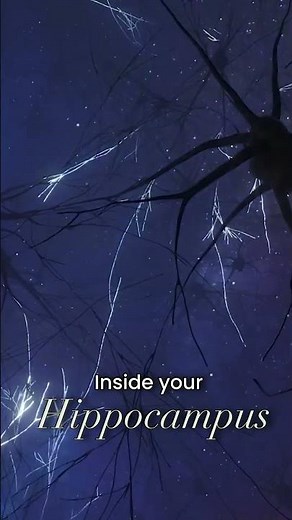 Doraemon’s Memory Bread REAL science | Explaining doraemon gadgets with science|Day 3|Jab We Explain