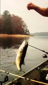 Big Lanier spot..#fishing