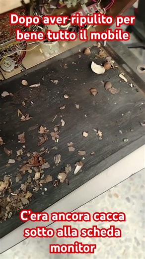 Cacca ovunque #vintage #retrogameroom #arcadestory