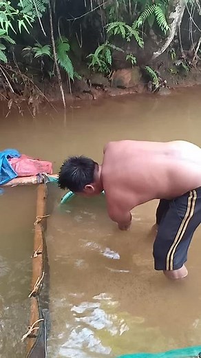 Gold Panning Techniques in Tropical Outdoors