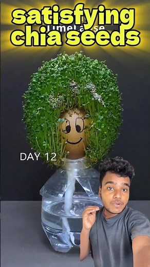 Satisfying chia seeds growing #youtubelogo #indiamap #chiaseeds