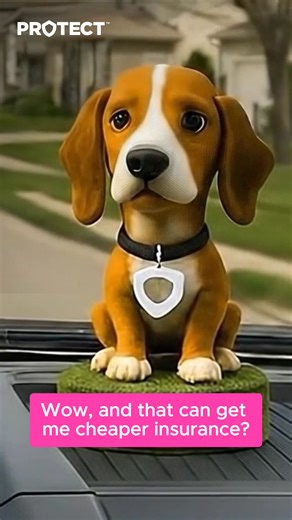 Compare & save on your auto insurance — start the new year fresh! | Protect.com