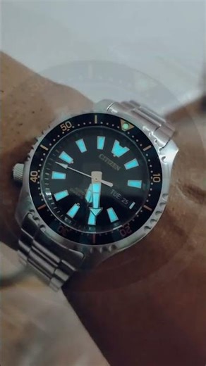 driver watch citizen promaster fugu limited edition #punk