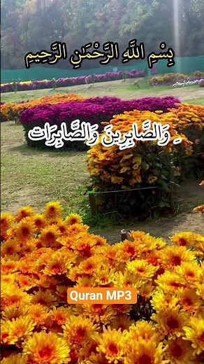 Beautiful Quran Recitation
