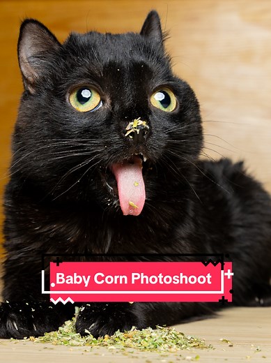 Surprise 40th Birthday Party Highlights