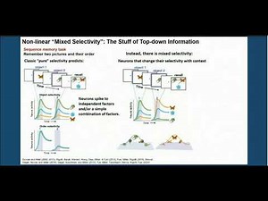 Earl K. Miller - Society for Neuroscience Presidential Lecture 2025
