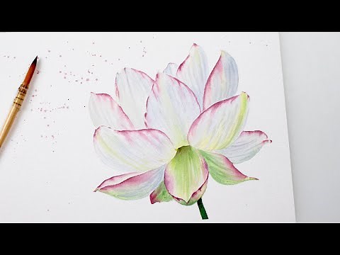 How to paint WATER LILY in watercolors - step by step tutorial with FREE sketch