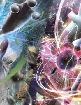 How to get 12k+ EXP in Pokemeow😺 (NO HACKS) 🔥🔥🔥