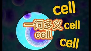 cell基础知识入门