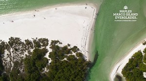 48 reactions · 13 shares | Your Clam Pass Park adventure starts with a three-quarter mile boardwalk that winds through a mangrove forest hugging Outer Clam Bay. What comes next—gorgeous white sand beaches and sparkling waters—can only be described as Paradise. | Naples, Marco Island, Everglades - Paradise Coast | Facebook