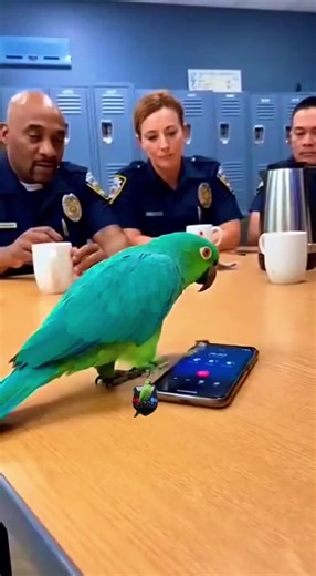 Officer Parrot Gets Very Serious #humor #jokes #comedy #comedian