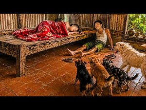 72 Hours Survival: Giant Albino Python Hides Under Sleeping Girl’s Bed — Dogs Go Crazy During Rescue