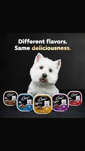 Cesar Wet Dog Food Your Pup Will Love!