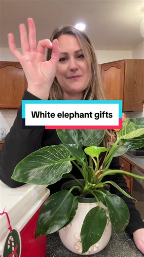 Unique White Elephant Gift Ideas for Christmas
