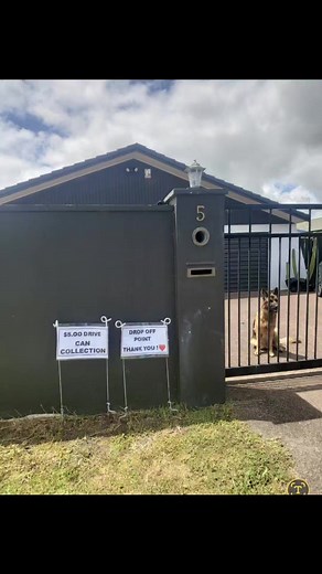 12K views · 23 reactions | A wee snippet into my world of cans. These...