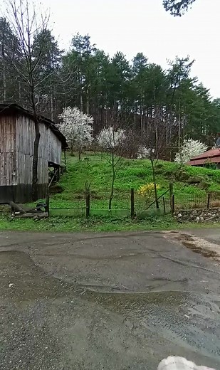 Ezel Idrizovic on Reels