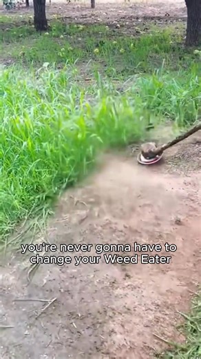 🚨 Still using weak trimmer heads that break or jam? It’s time to upgrade to the Steel Wire Trimmer Head that cuts through anything. ✅ Fits most gas & electric trimmers ✅ Choose 3 or 6 powerful steel blades ✅ Perfect for thick weeds, grass & brush ✅ Fast shipping & easy installation Don’t waste time with cheap plastic lines. 💥 Cut faster, cleaner, and with way less effort. | CurlTap