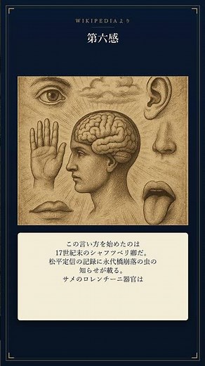 第六感の正体、知ってるか？