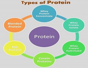 What are the three types of protein? [2025] | QAQooking.wiki