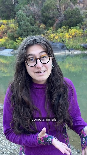 We can’t imagine a Yellowstone without wolves, an Everglades without alligators, a United States without bald eagles, and especially not a world without wildlife. The Endangered Species Act protected those iconic species and will continue to protect even more species – as long as we protect it in return. | Defenders of Wildlife