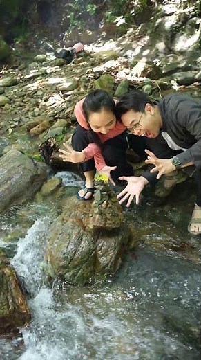 Du Lịch Trekking Núi Ba Vì Hành Trình Chinh Phục Đỉnh Thiêng Gần Hà Nội #trekkingbavi #trekking