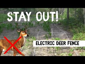 STAY OUT! - Electric Deer Fence for your food plot