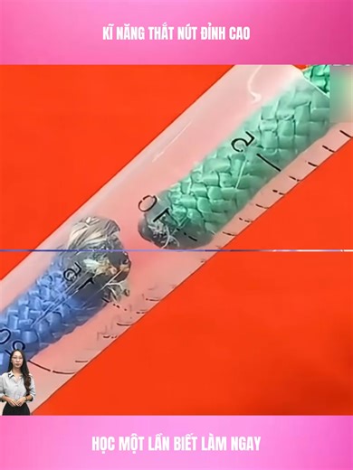 Top Tips for Everyday Life Improvement