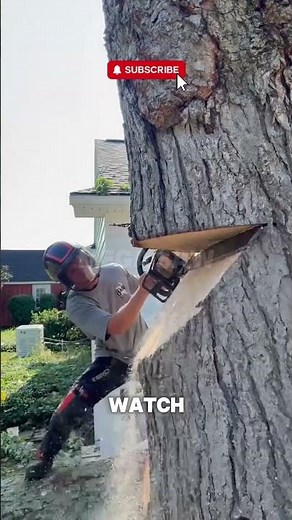 This is Breathtaking Precision 🌲🦾