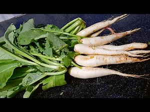 Simple and Easy Recipe with Radish | Fireless Cooking | 5 Minutes Recipe