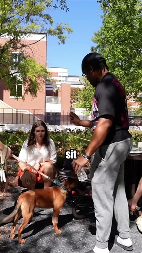 Kerv Training Dogs in His Free Time