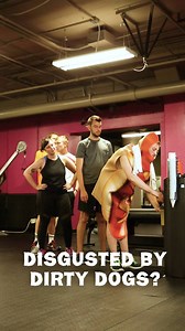 The wait is over. Now there’s a hot dog that’s so clean, it’s Non-GMO Project Verified AND Whole30 approved. | Applegate