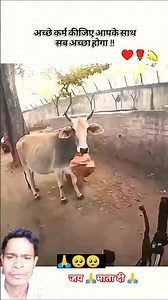 बेज़ुबान जानवरो का सपोट करें 🙏 #cow #funny #maa #माँ #love #maadurga #youtube #maakali #motivat #dog