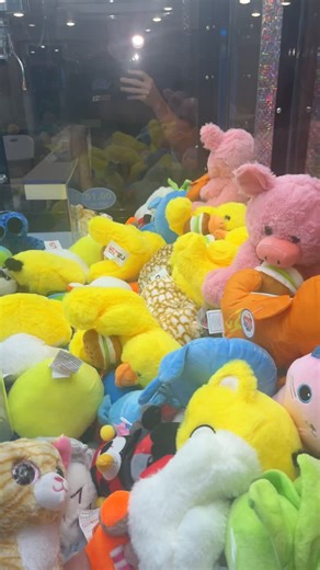 Exploring Macon County: Hidden Gems and Culture