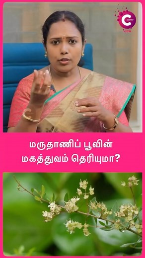 Full video: yt.openinapp.co/1wlzk | Maruthani leaf benefits • ▶️Watch Now On Cosmo View YouTube Channel • #healthtips #health #healthylifestyle #healthyliving #healthyfood #fitness #healthy #nutrition #wellness #weightloss #healthyeating #healthcare #healthandwellness #healthiswealth #healthylife #skincare #beautytips #beauty #vegan #covid #fitnessmotivation #stayhealthy #healthbenefits #healthytips #ayurveda #holistichealth #diet #food #selfcare #homeremedies | Cosmo View