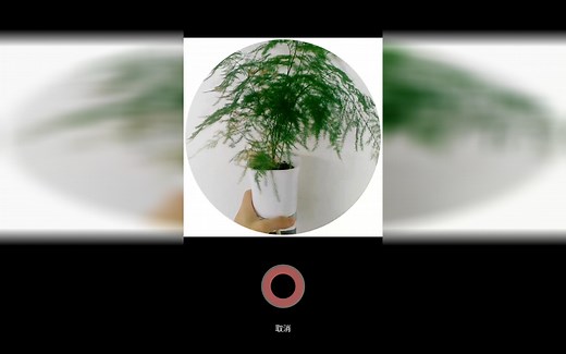 【VUE视频相机】手机软件使用教程