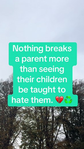 It should never be this way. 💔♻️ #papa #peopleagainstparentalalienation #parentalalienation #parentalalienationisreal #familylaw