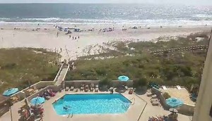 44 reactions | Such a beautiful day out here today! We hope everyone is enjoying their Saturday! | Shell Island Resort | Facebook